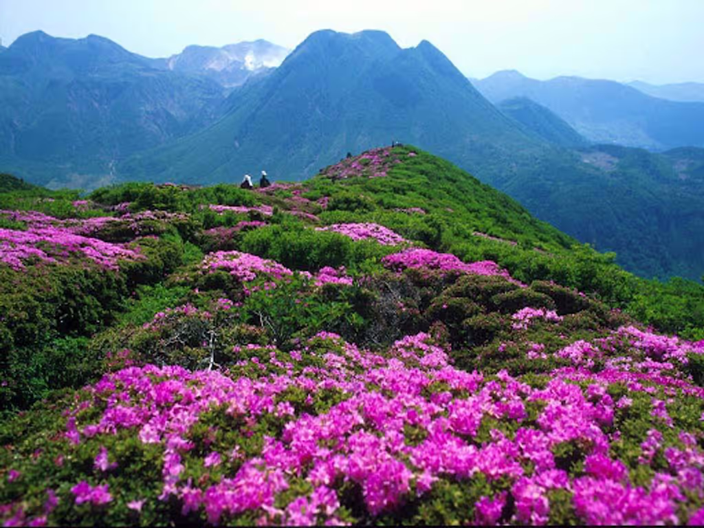 Chongqing Private Tour - in spring
