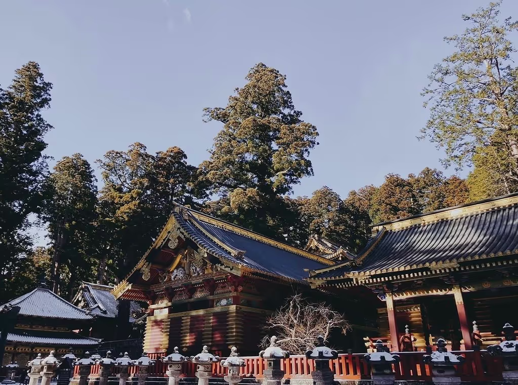 Nikko Private Tour - Toshogu Shrine