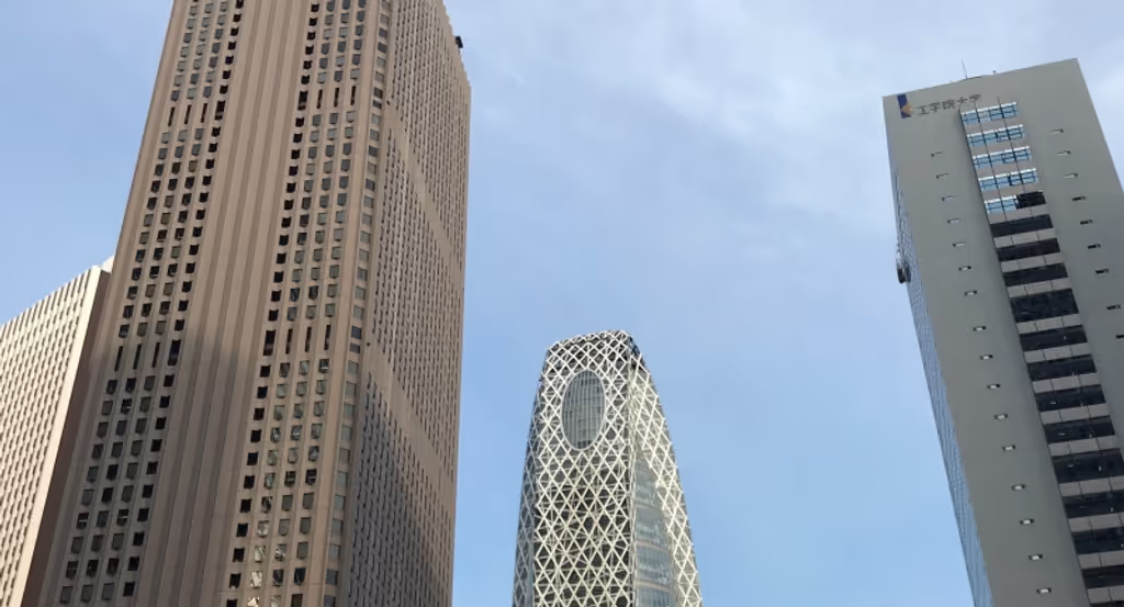 Tokyo Private Tour - West of Shinjuku station is skyscraper district and we will enjoy the view from 45th floor. (#1)