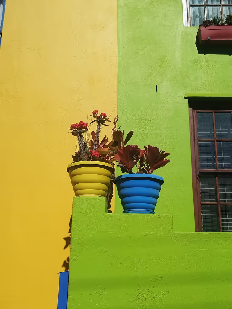 Cape Town Private Tour - 
