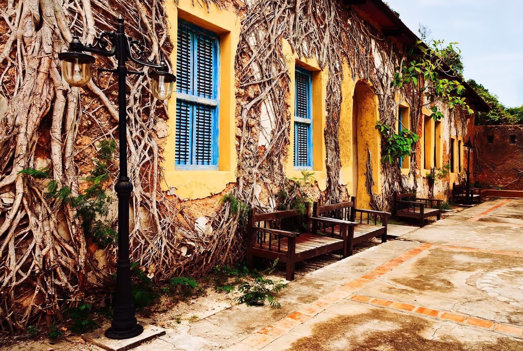 Zanzibar Private Tour - 