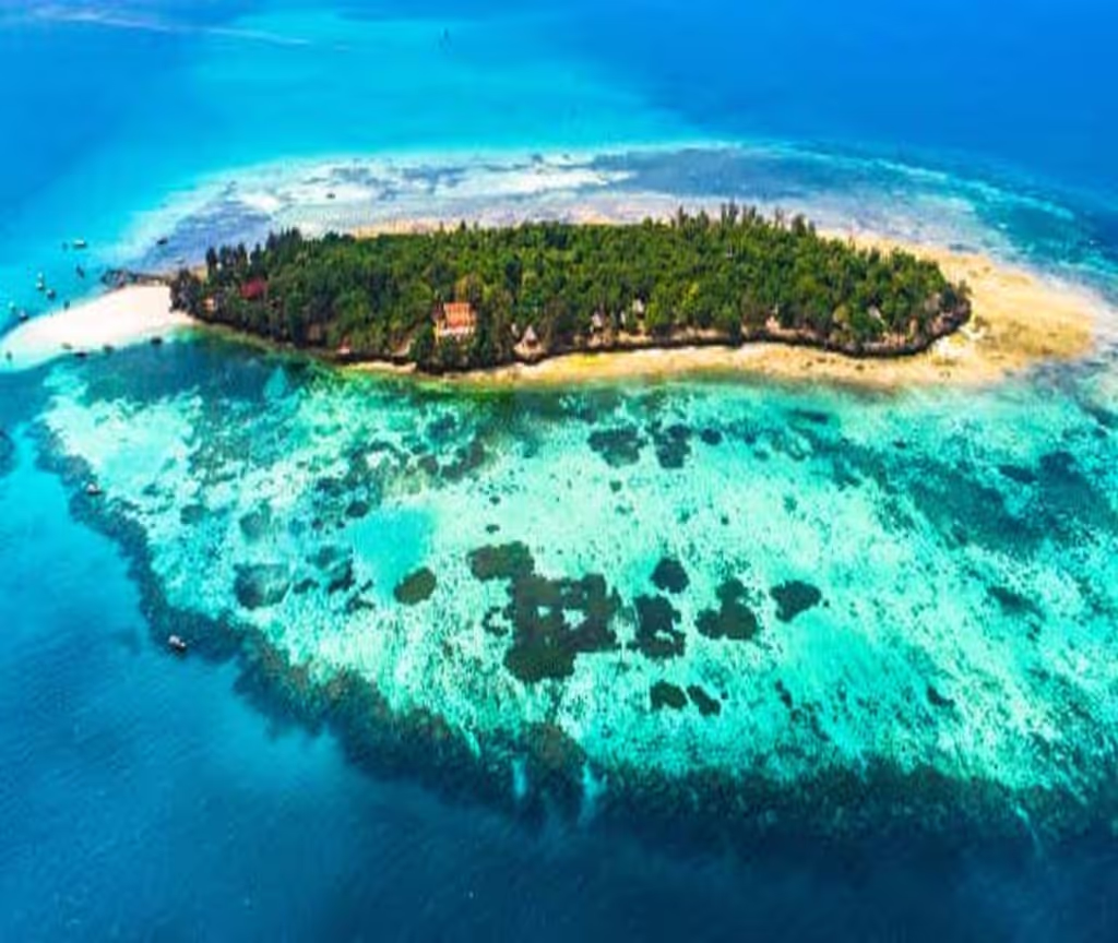 Zanzibar Private Tour - 