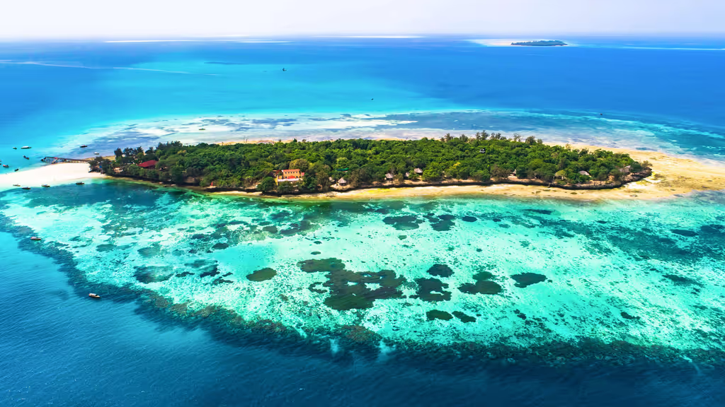 Zanzibar Private Tour - 