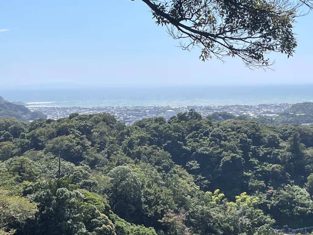 Kamakura Private Tour - 