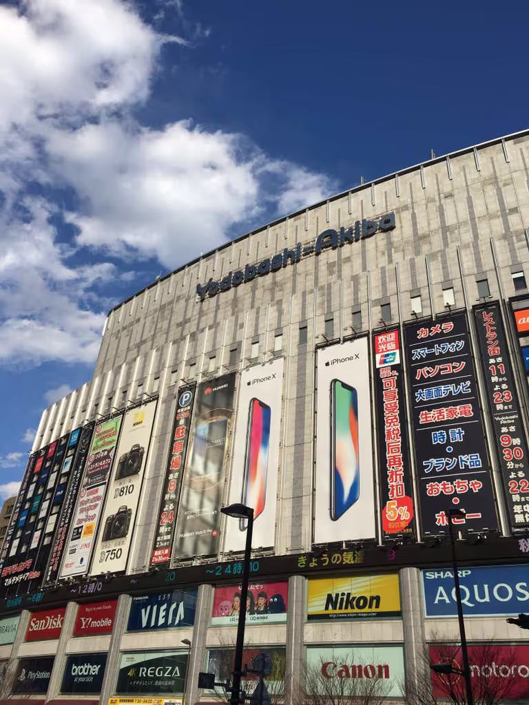 Tokyo Private Tour - null