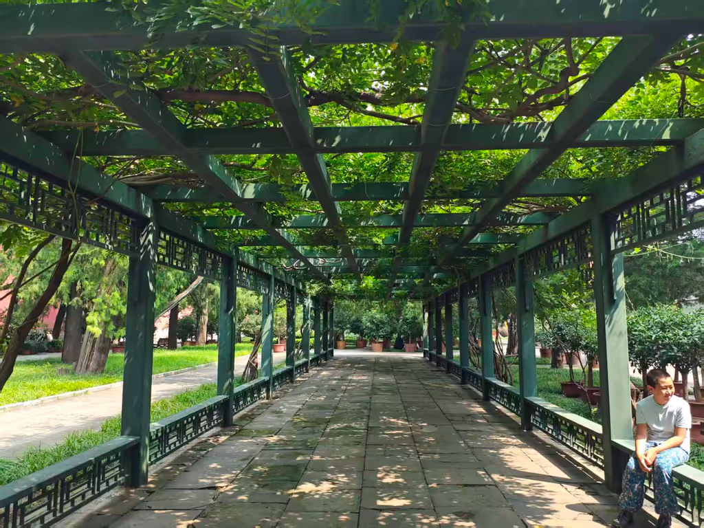 Beijing Private Tour - A corner in Imperial Ancestral Temple
