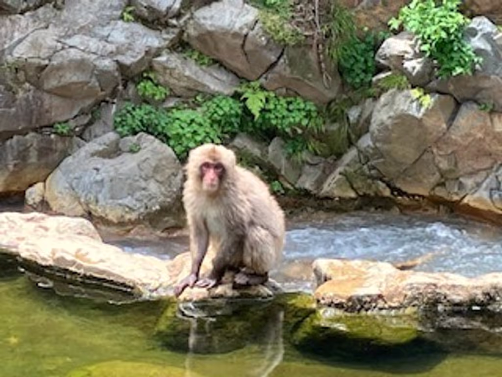 Nagano Private Tour - Beside Hot Spring (May)