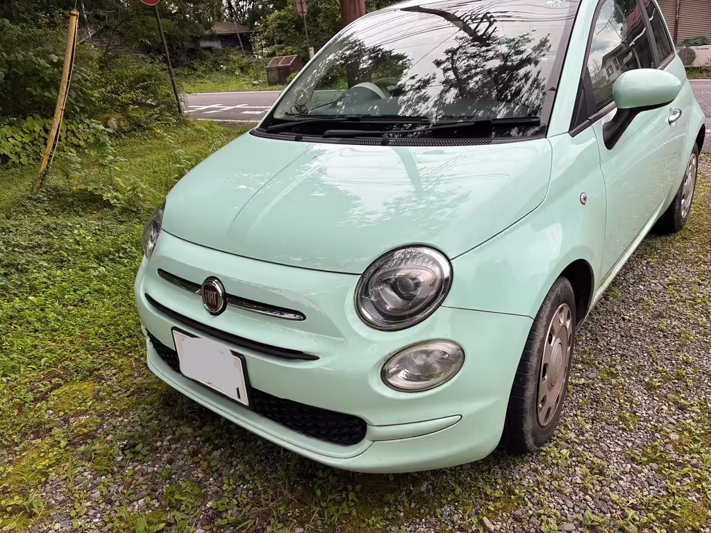 Nikko Private Tour - 