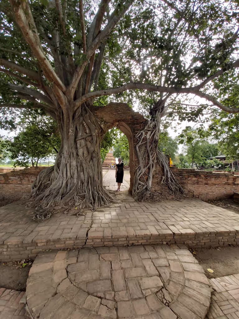 Ayutthaya Private Tour - 