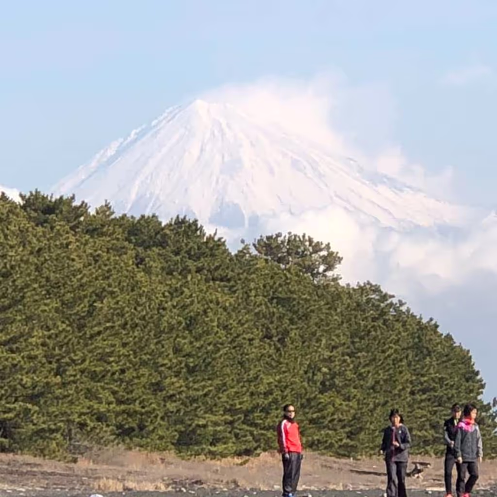 Shizuoka Private Tour - Mt. Fuji and Pine Tree Grove at Mino no Matsubara!
You can enjoy not only the splendid view of Mt. Fuji but also the attractive contrast among snow-covered Mt. Fuji, green pine trees, and blue ocean.
