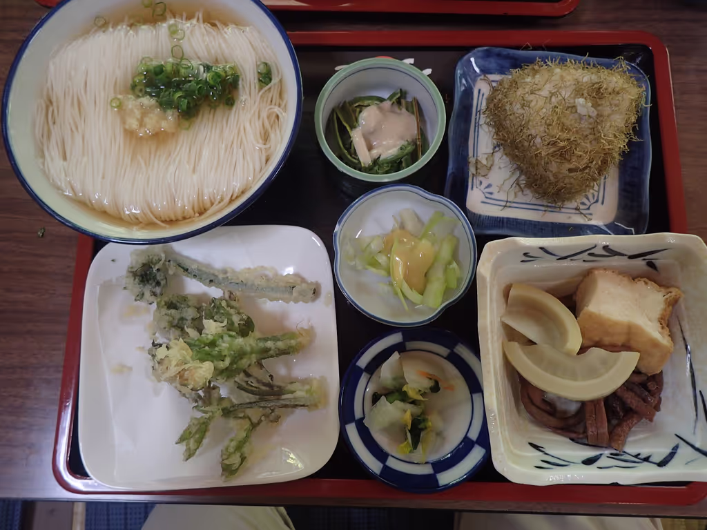 Toyama Private Tour - Somen