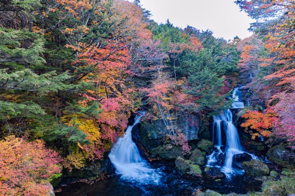 Tokyo Private Tour - Ryuzu Waterfall