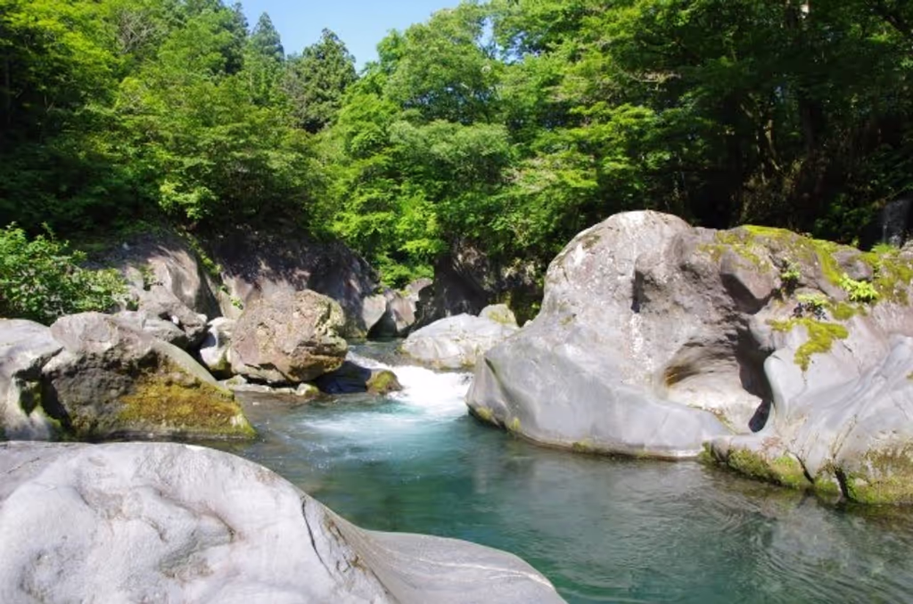 Tokyo Private Tour - Kanmangafuchi Abyss