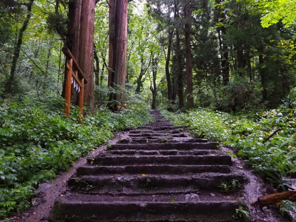 Nagano Private Tour - 