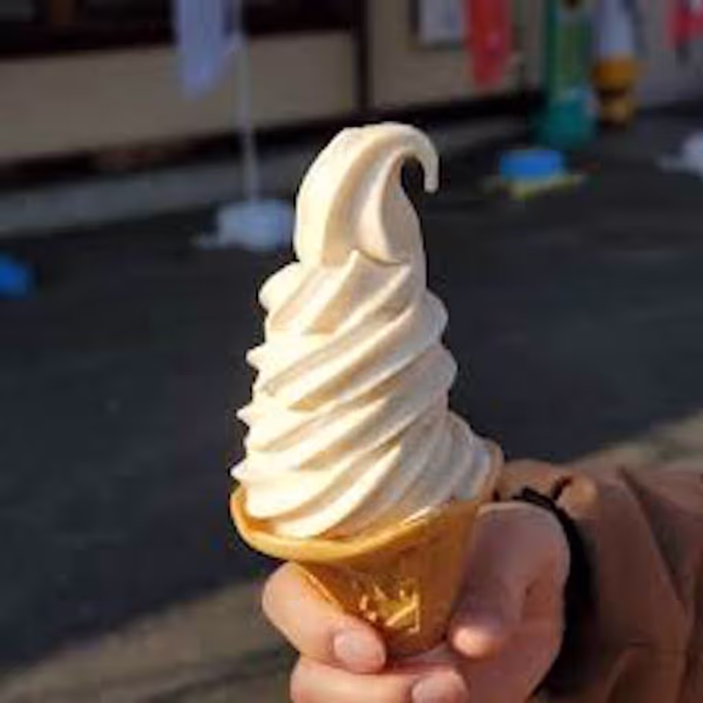 Nagano Private Tour - Buckwheat ice-cream is amazing