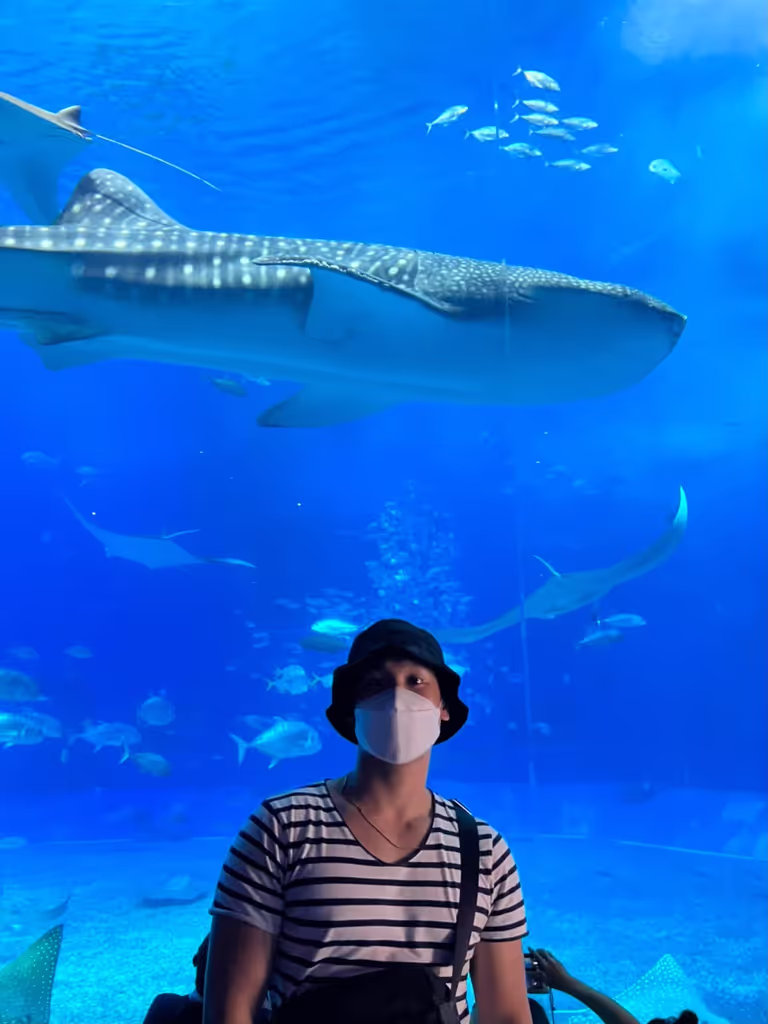 Okinawa Main Island Private Tour - Okinawa Churaumi Aquarium