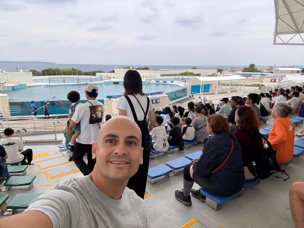 Okinawa Main Island Private Tour - Dolphins show