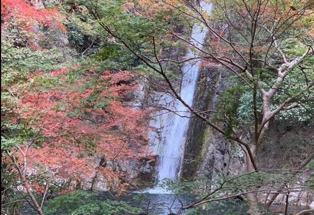 Kobe Private Tour - Female Cascade "Mentaki"