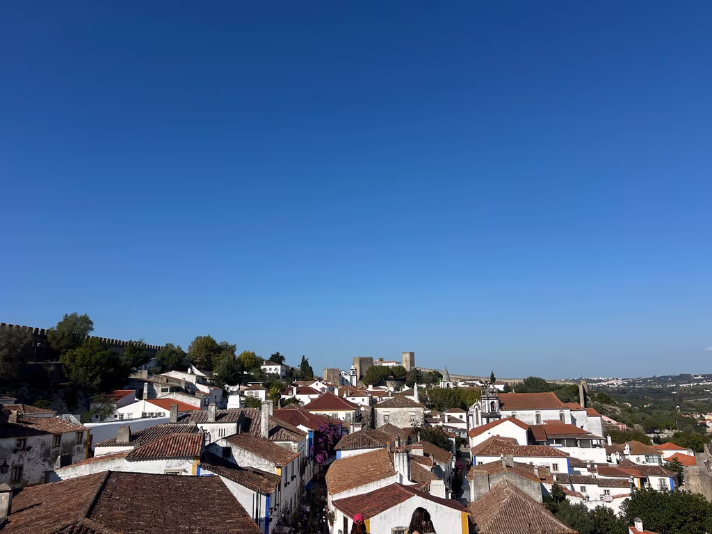 Lisbon Private Tour - Obidos