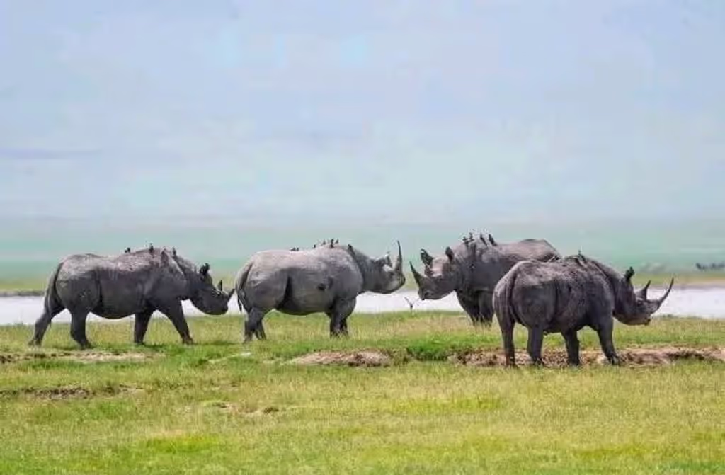 Zanzibar Private Tour - 