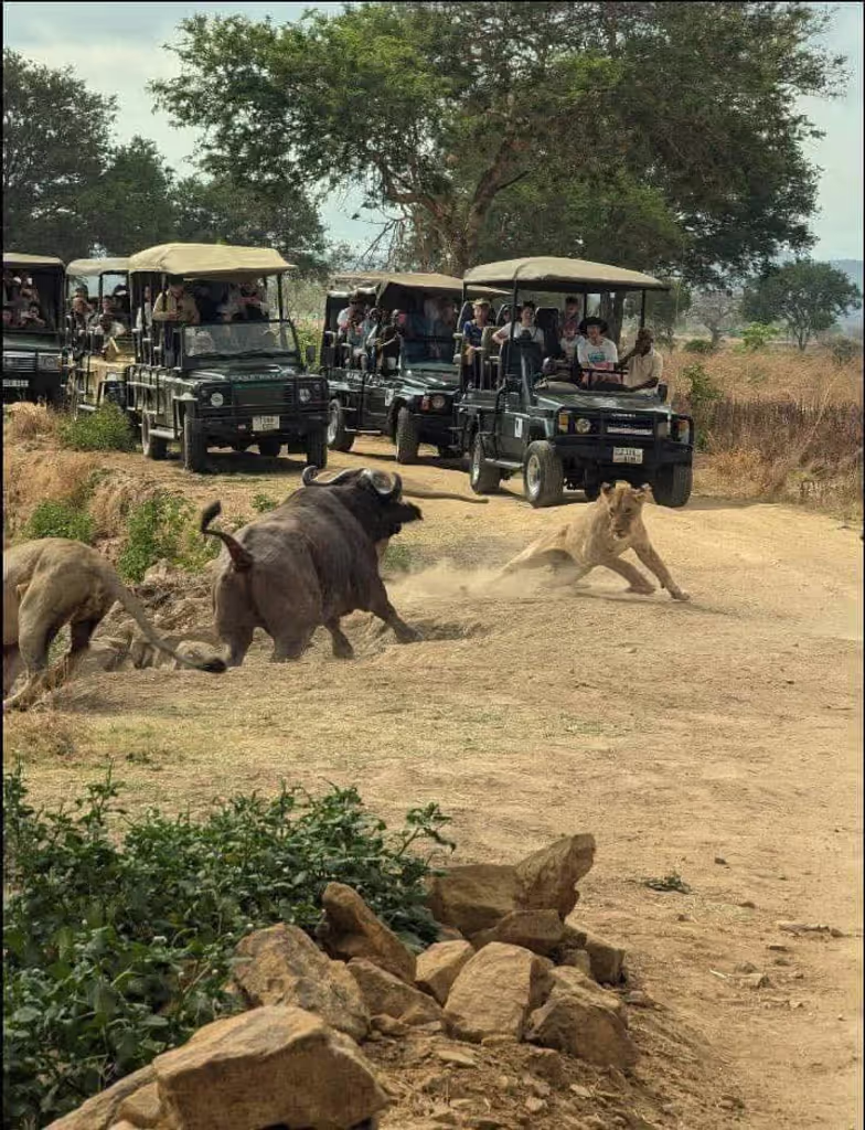 Zanzibar Private Tour - 