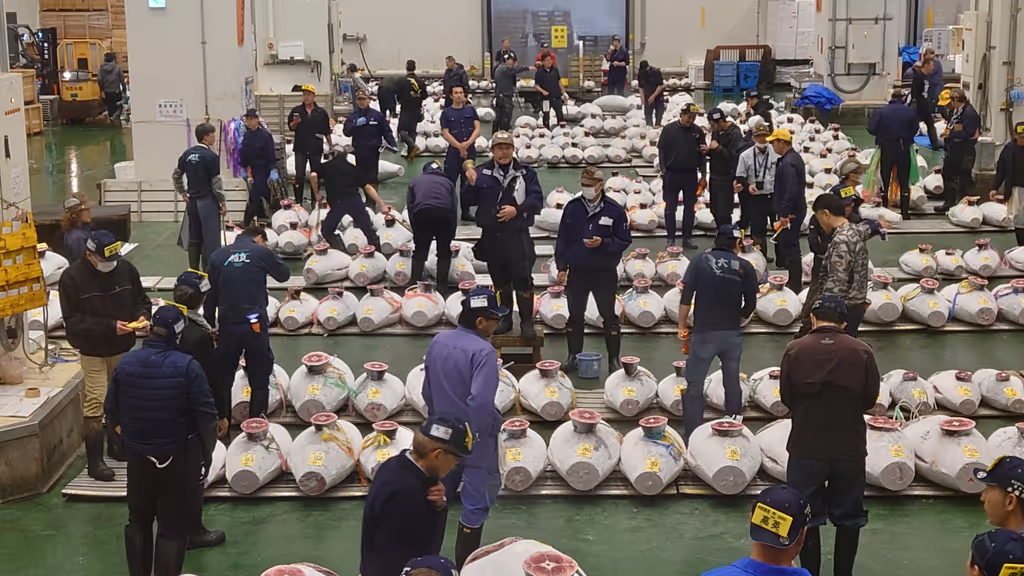 Tokyo Private Tour - Tuna Auction (Frozen tuna)