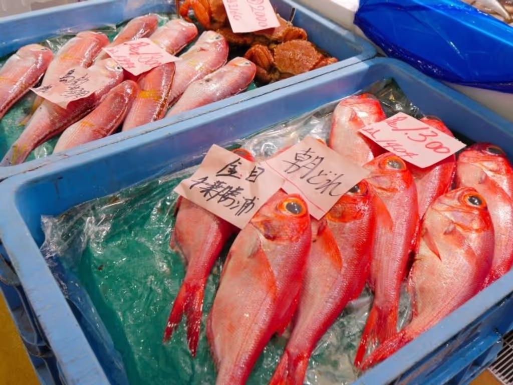 Tokyo Private Tour - Fresh Fish