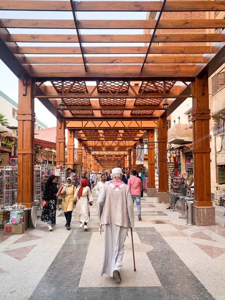 Aswan Private Tour - 