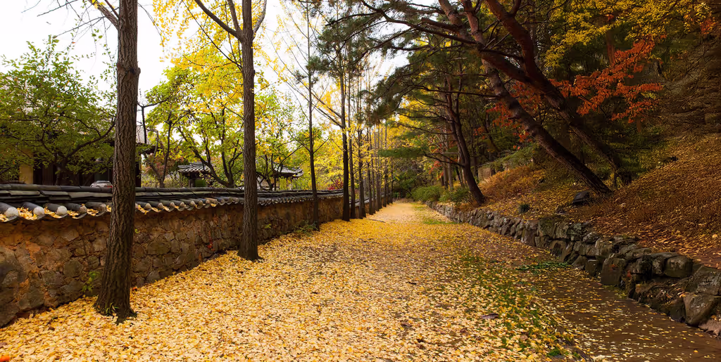Gyeonggi Private Tour - 