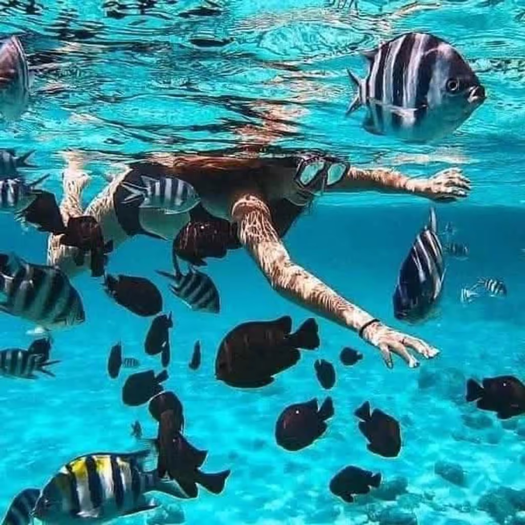 Zanzibar Private Tour - 