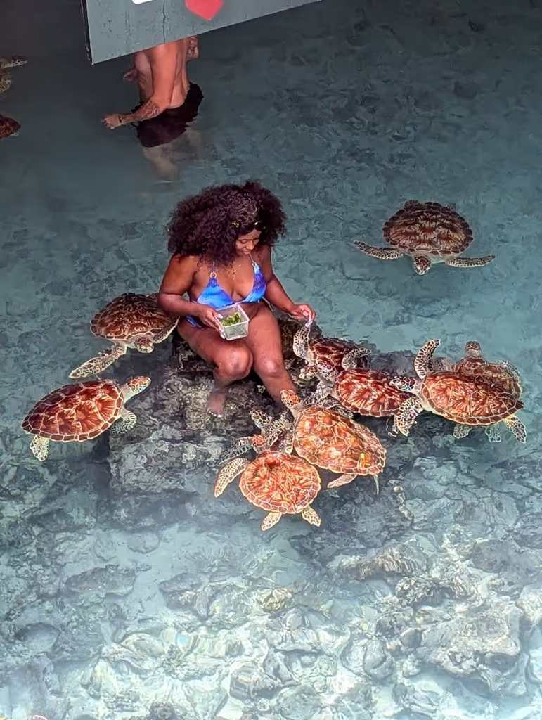 Zanzibar Private Tour - 