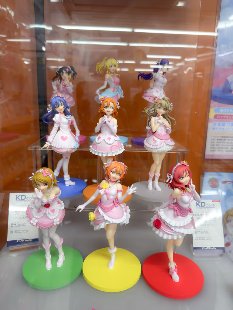 Tokyo Private Tour - Idol dreams in Akihabara