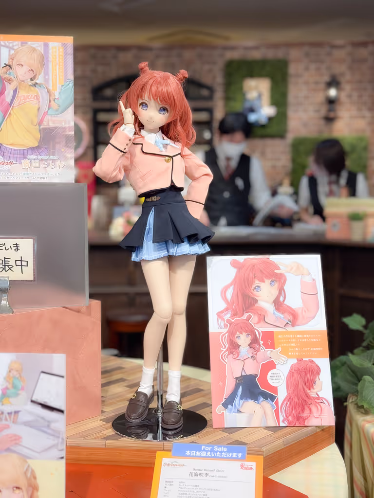 Tokyo Private Tour - Idolmaster's latest dolls in Akihabara