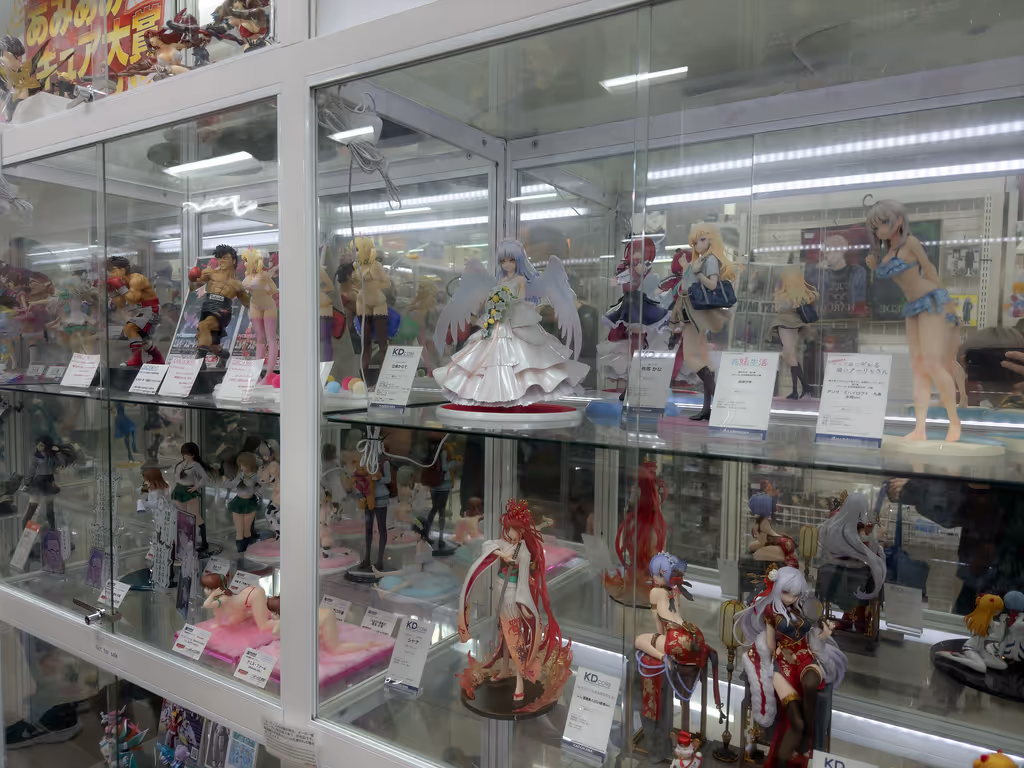 Tokyo Private Tour - Amiami Akiba figure display
