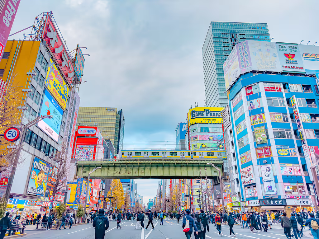 Tokyo Private Tour - Sunday stroll in Akihabara