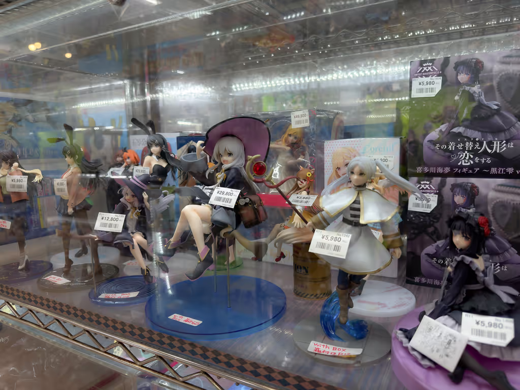 Tokyo Private Tour - Figure hunting in Nakano