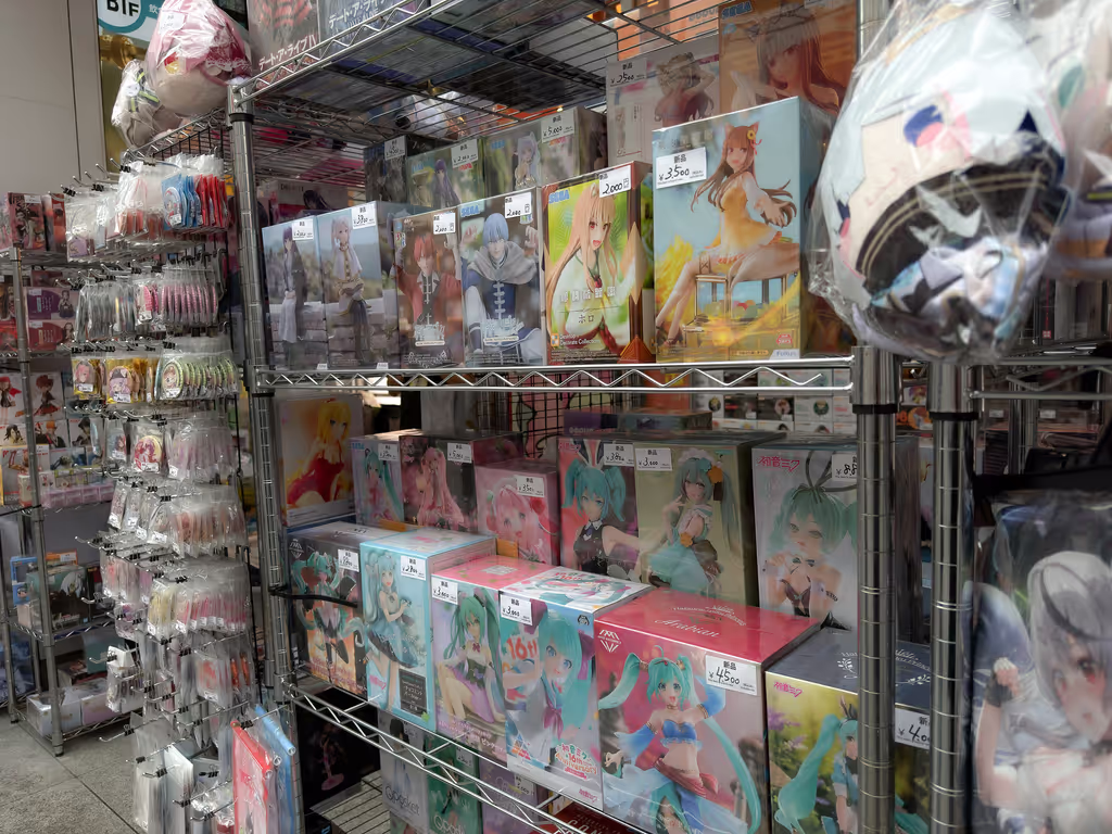 Tokyo Private Tour - Do you have enough suitcases to fit these in?