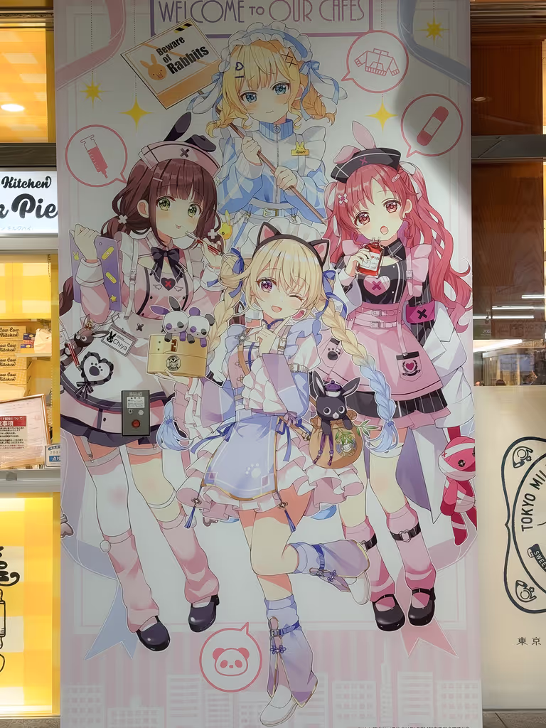 Tokyo Private Tour - Kawaii cures all ailments when in Akihabara