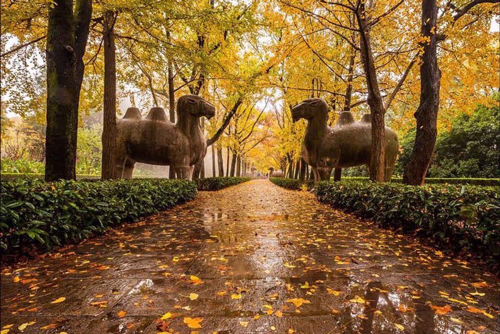 Shanghai Private Tour - 