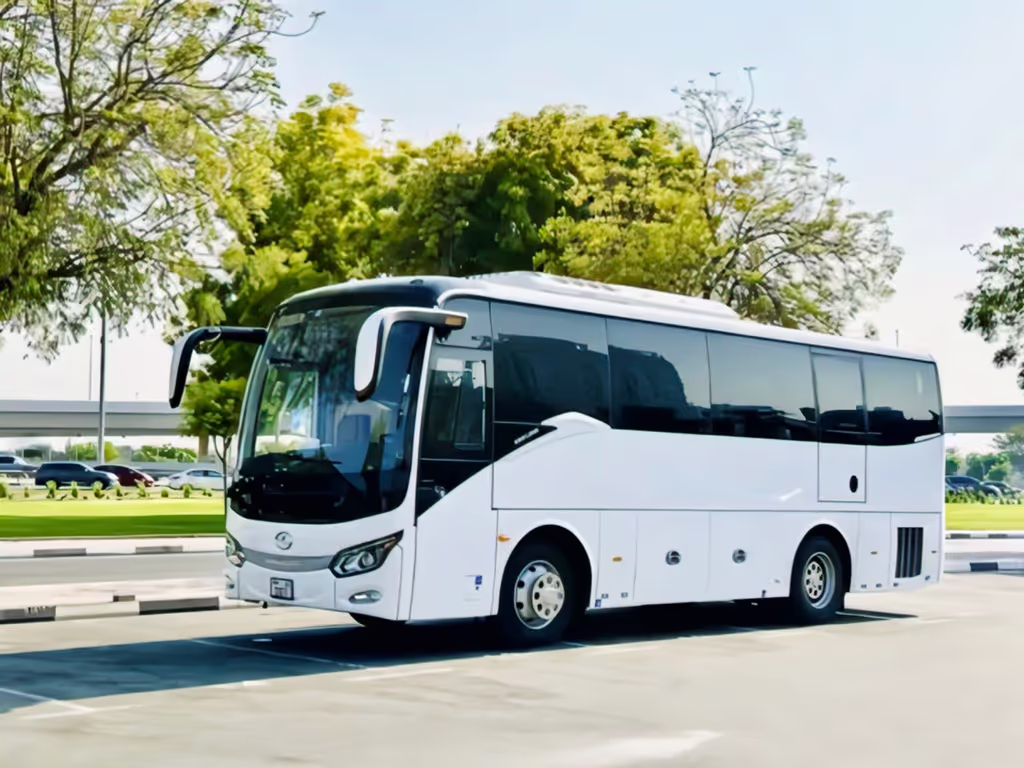 Dubai Private Tour - Luxury bus