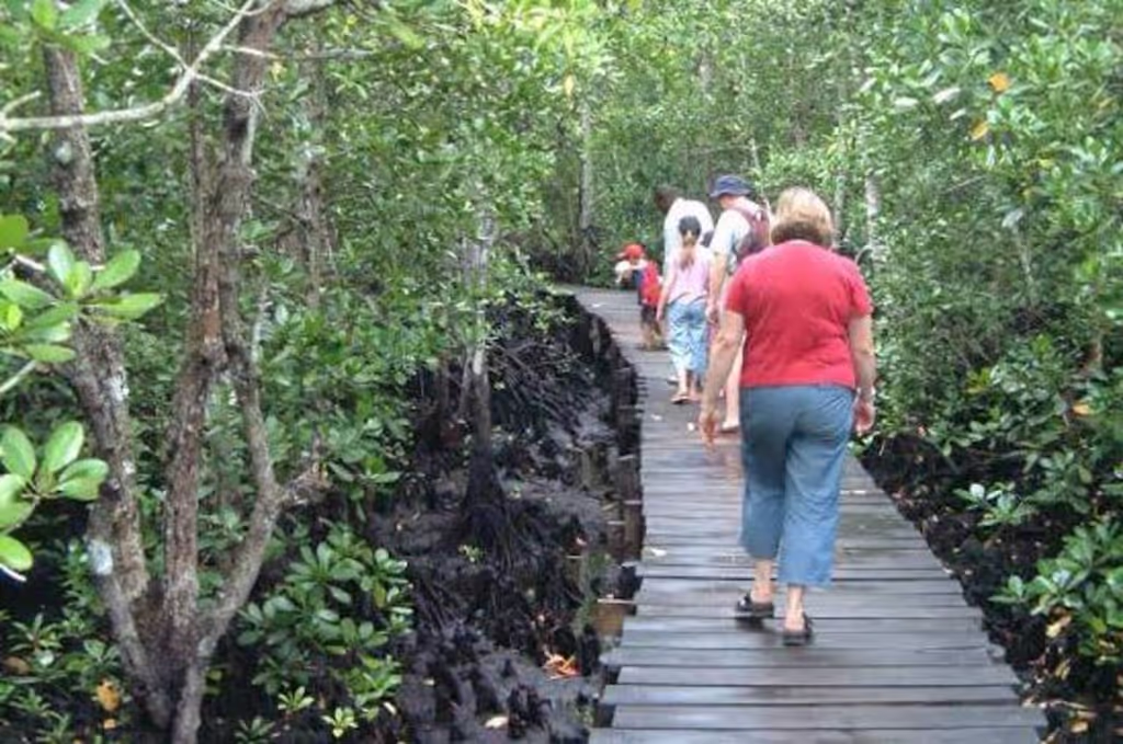Zanzibar Private Tour - 