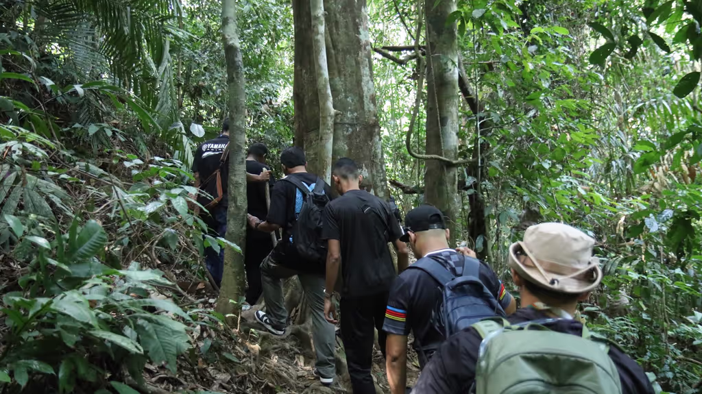 Pahang Private Tour - Walk through the rainforest and explore the natura