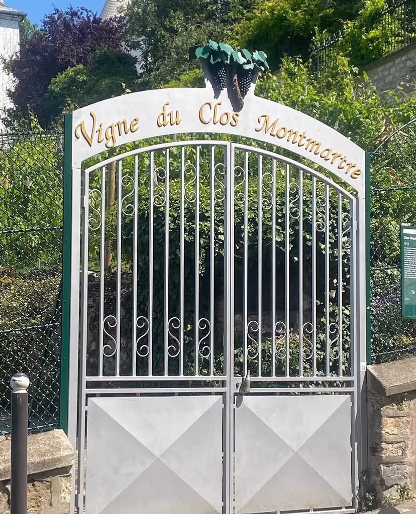Paris Private Tour - 