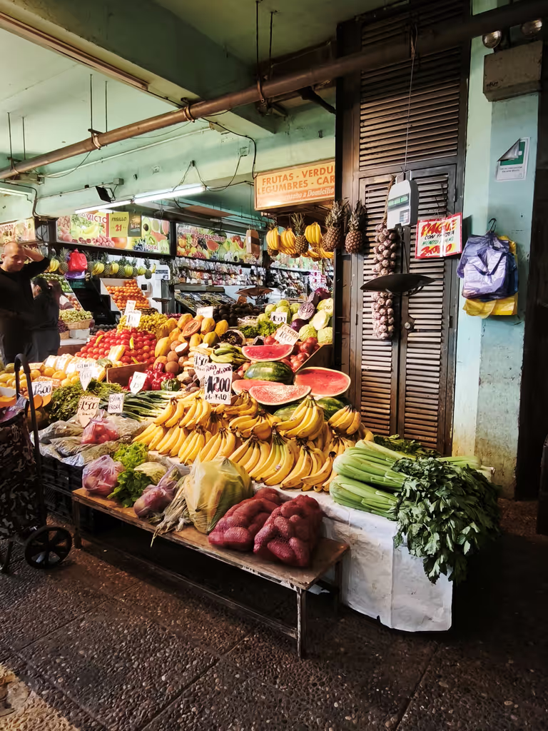 Santiago Private Tour - 