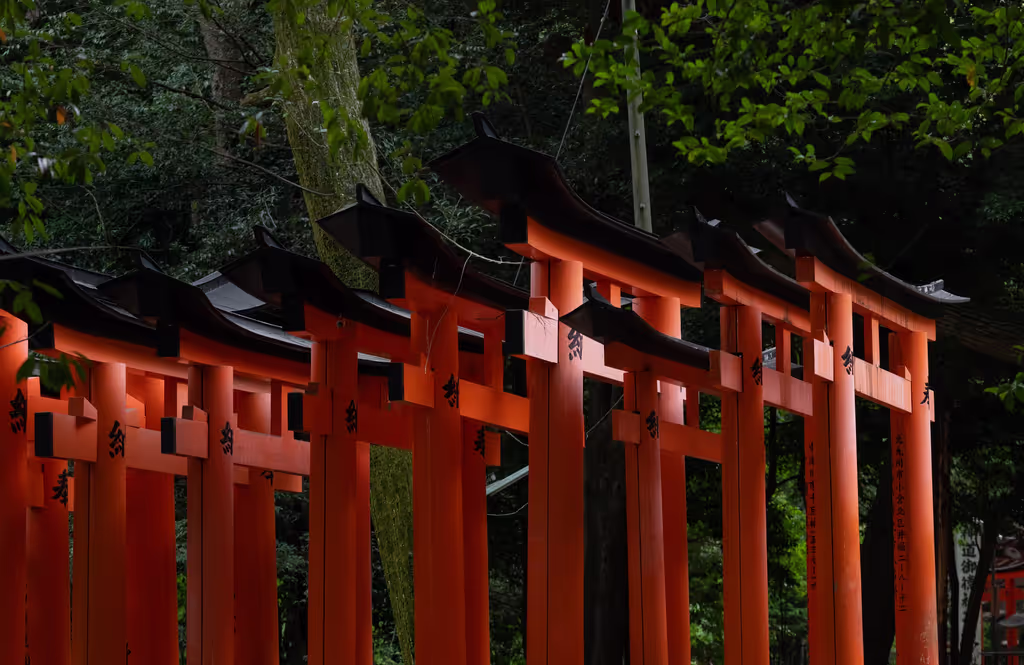 Kyoto Private Tour - 