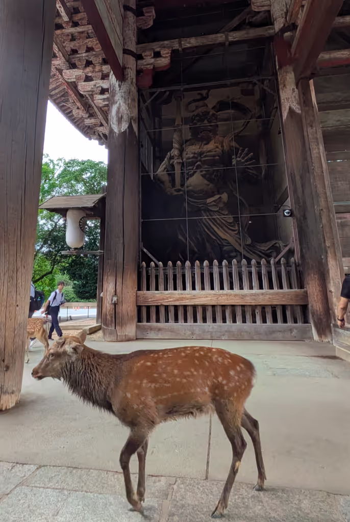 Osaka Private Tour - 