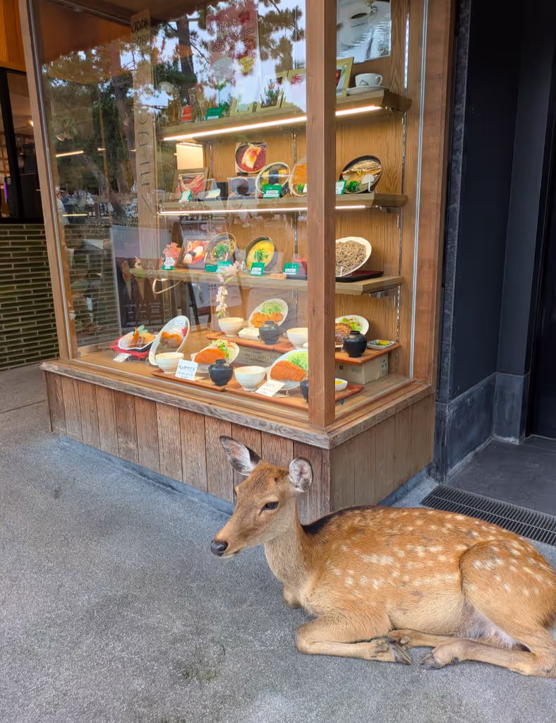 Osaka Private Tour - 