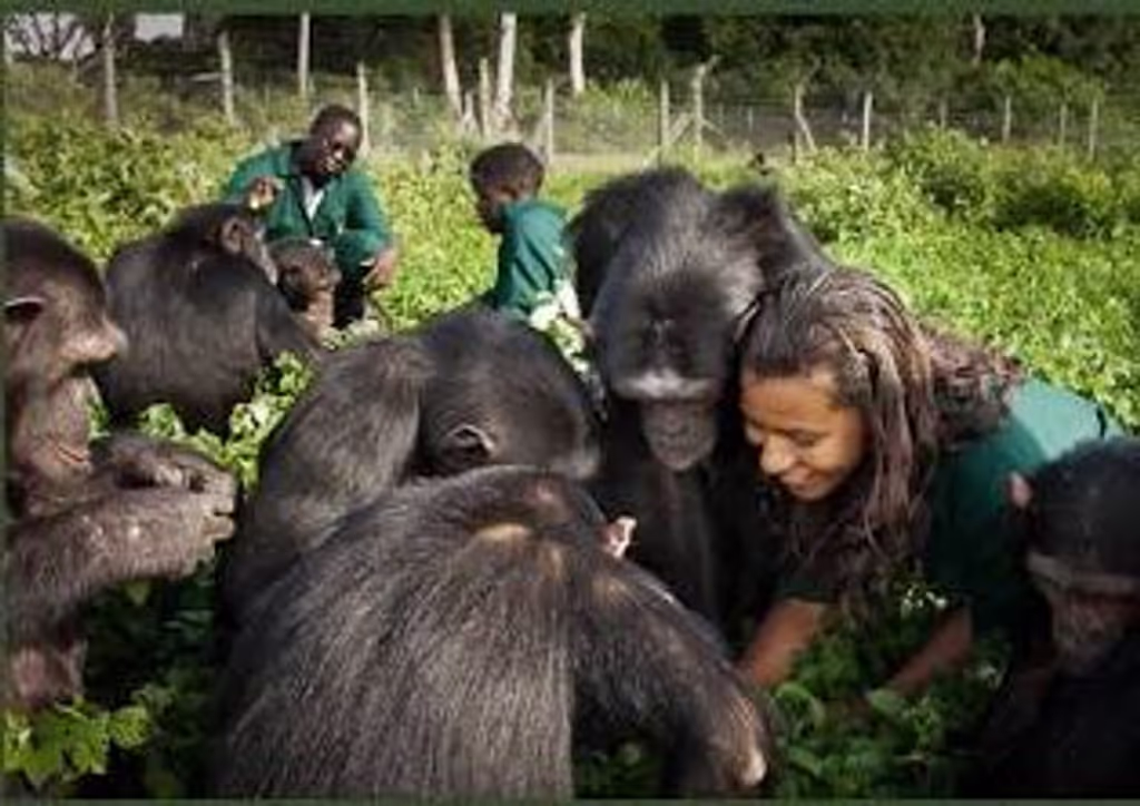 Wakiso Private Tour - 
