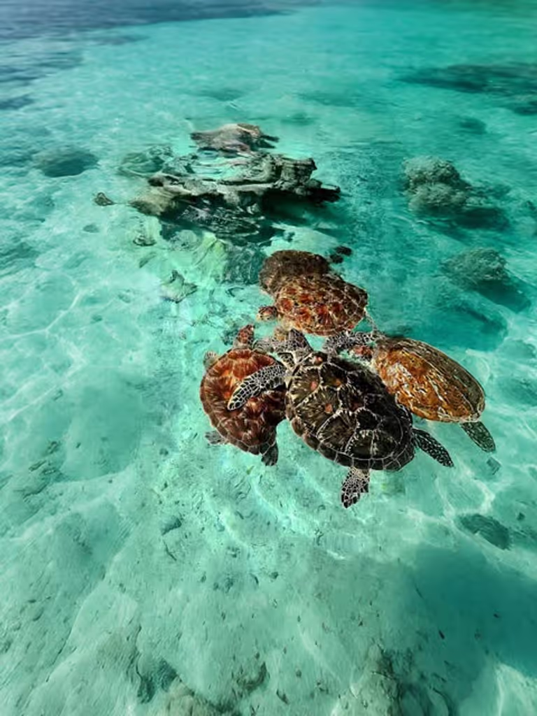 Zanzibar Private Tour - 
