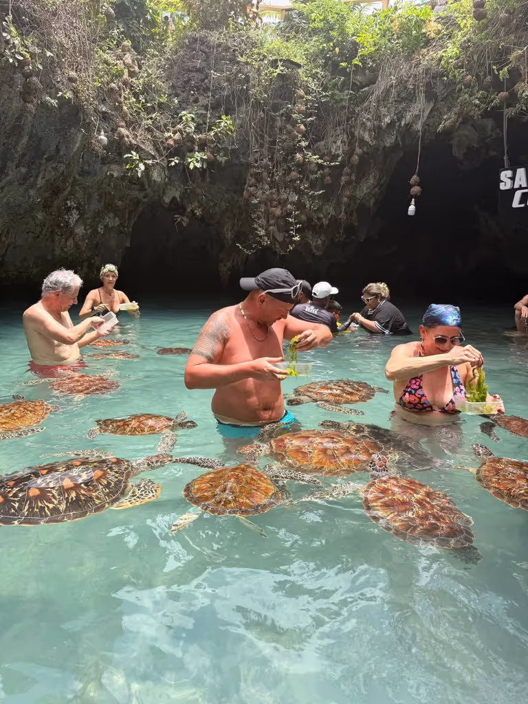 Zanzibar Private Tour - 